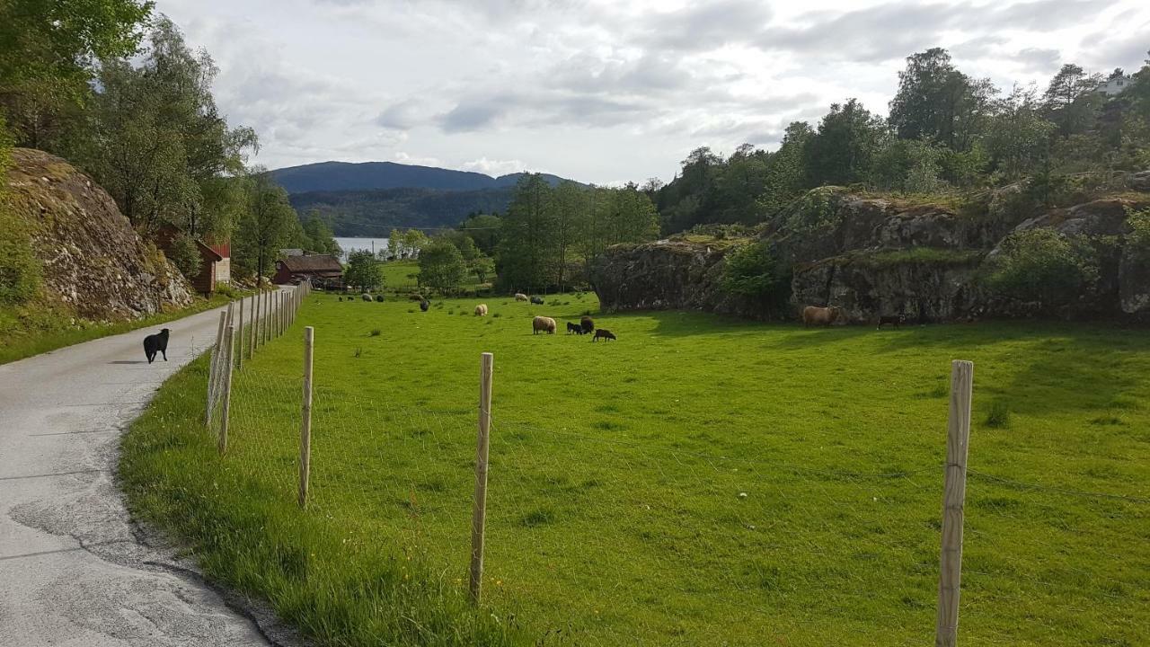 Molvik Hytten Villa Ostereidet Bagian luar foto