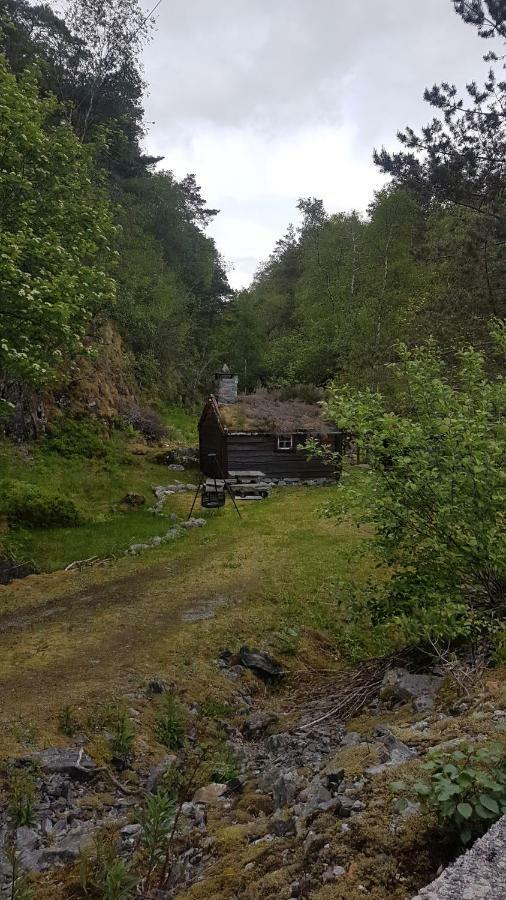 Molvik Hytten Villa Ostereidet Bagian luar foto