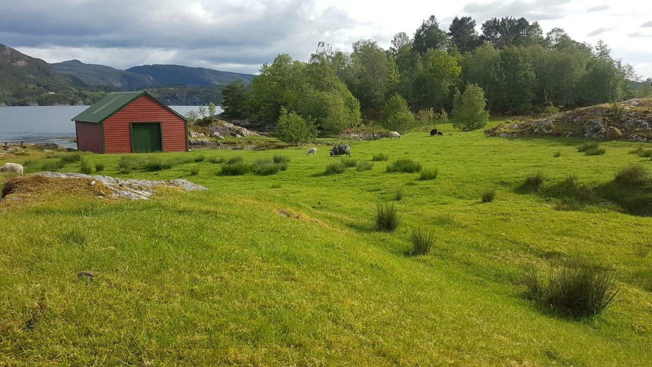 Molvik Hytten Villa Ostereidet Bagian luar foto
